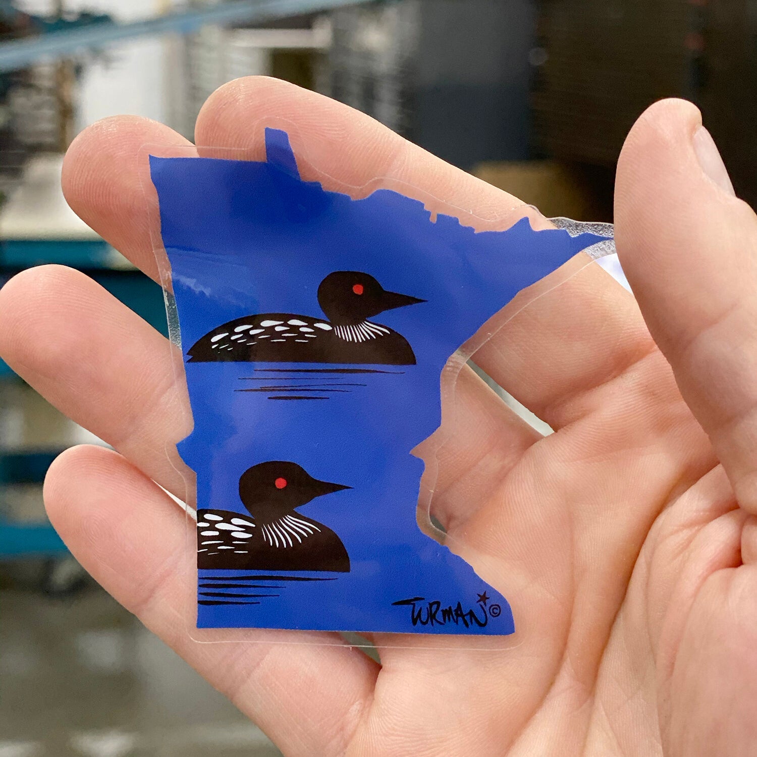 3-pack MN Loon Stickers **Free Shipping
