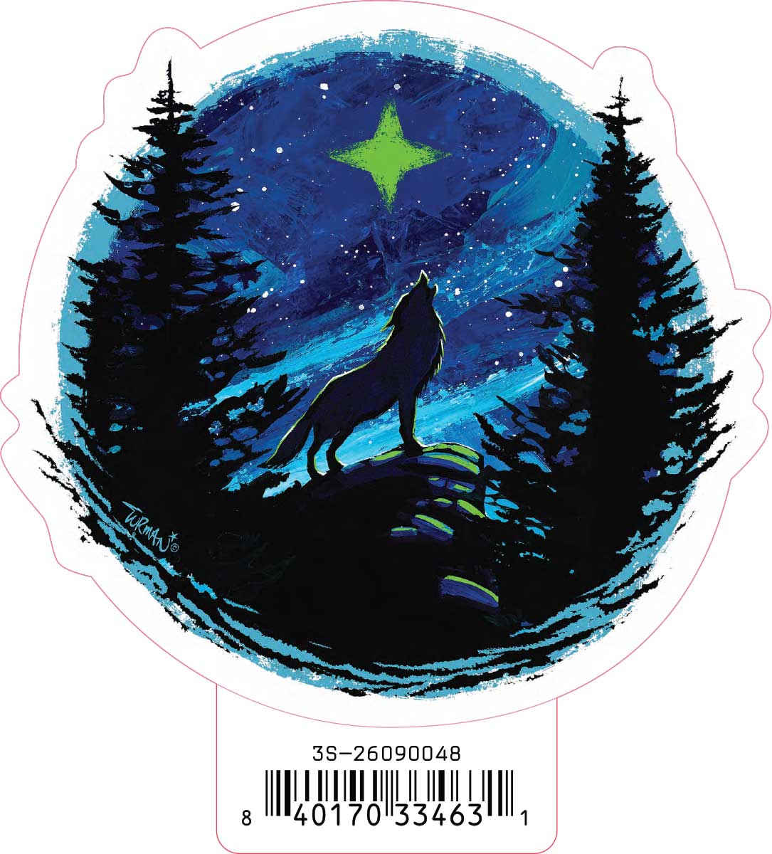 3-pack Navigator - The North Star Stickers **Free Shipping